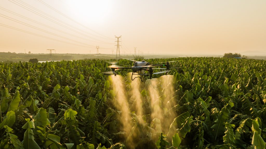 memaksimalkan hasil panen di lahan sempit