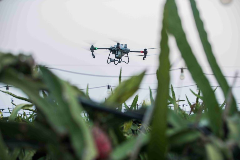 Manfaat dan Tantangan Penyemprotan Drone