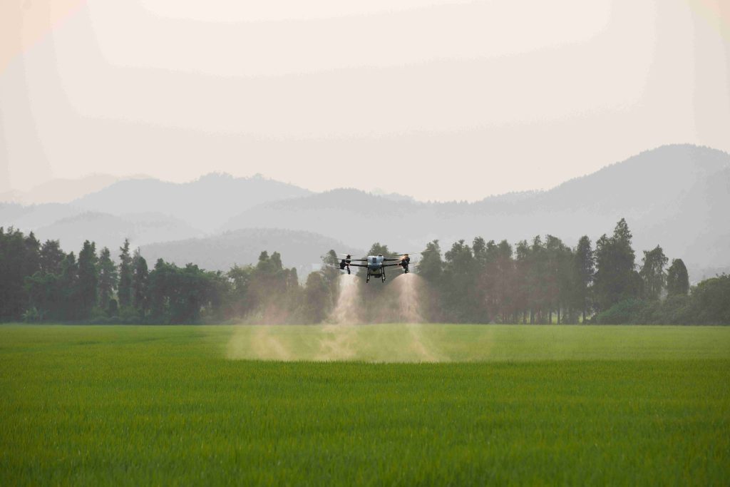 Penyemprotan sawah dengan drone