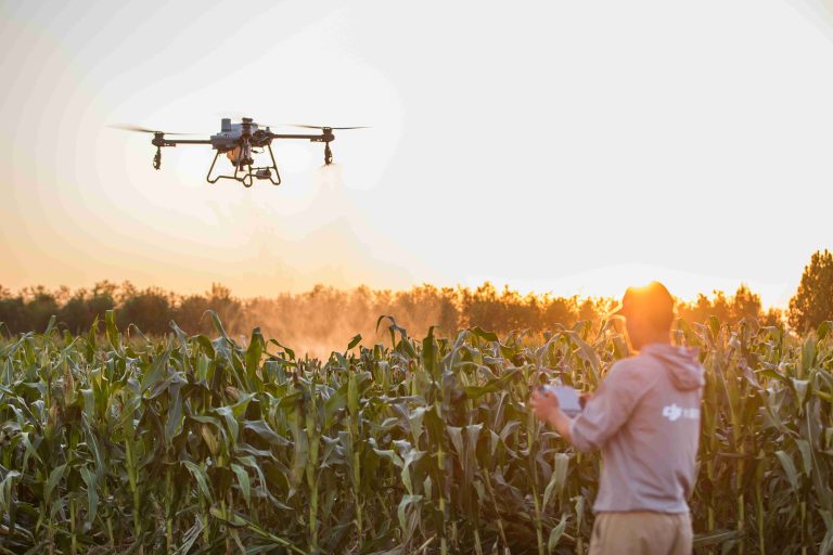 Drone vs Manual: Siapa yang Lebih Efektif Semprot Pestisida?
