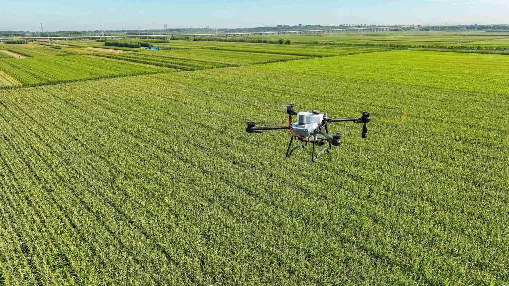 Manfaat dan Tantangan Penyemprotan Drone