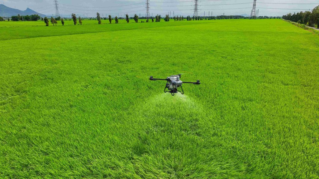 manfaat penyemprotan sawah dengan drone