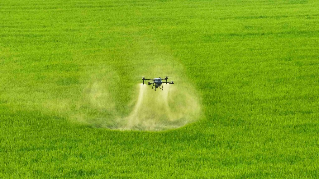 Blanket Spraying