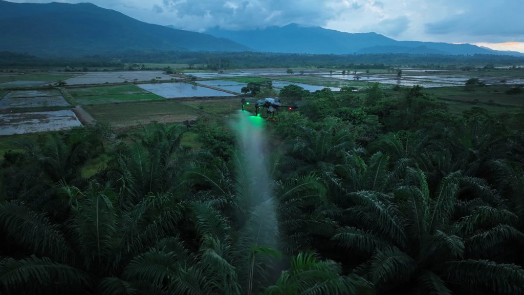 Cara Mencegah Penyakit Kelapa Sawit