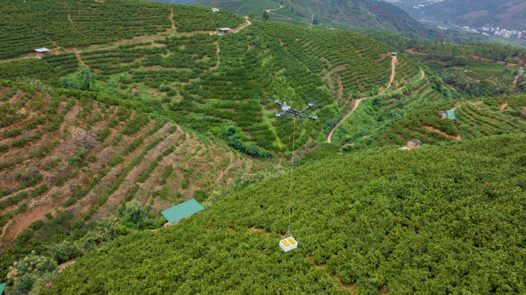 Hasil Panen Ringan hingga Menengah