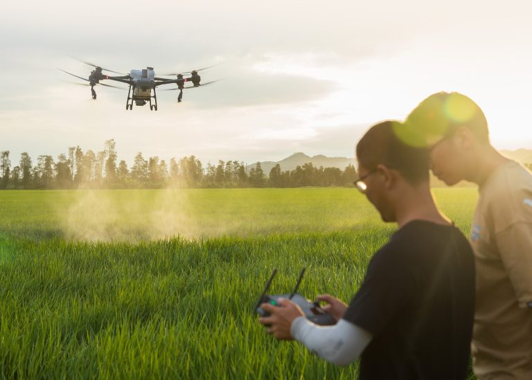 Beli atau Sewa Drone Pertanian? Ini Pertimbangannya