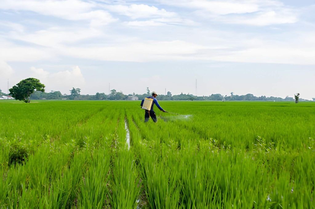 Kapan Perlu Penyemprotan Ulang pada Lahan?