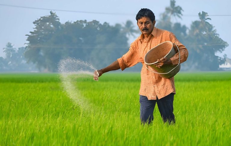 5 Kesalahan Pemupukan yang Sering Dilakukan Petani