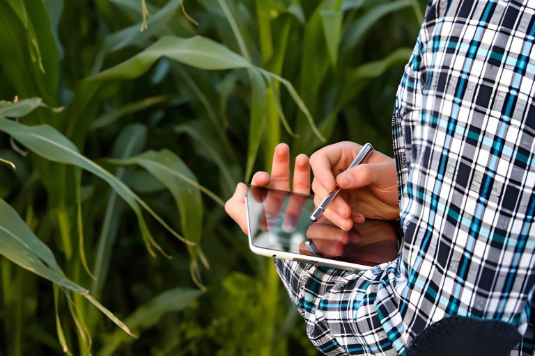 5 Penyebab Hasil Panen Stagnan yang Wajib Dipahami Petani