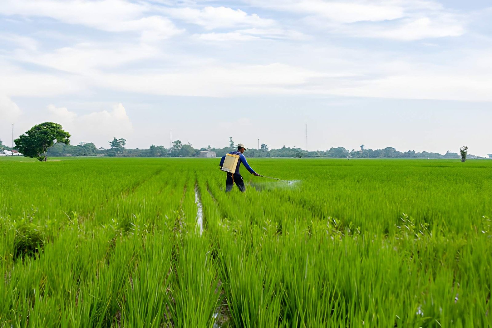 Berapa Kali Ideal Penyemprotan dalam Sebulan? Ini Faktanya