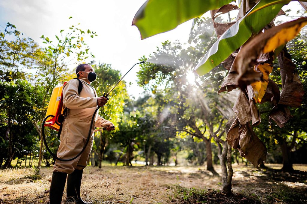 Biaya Penyemprotan Manual