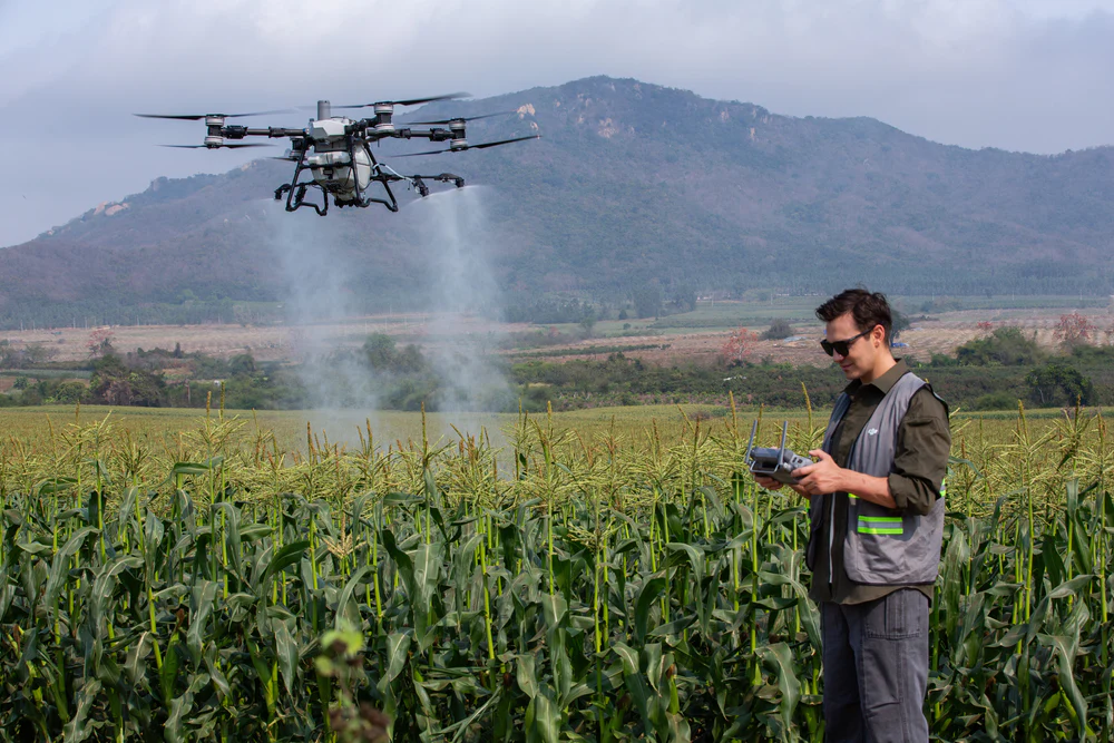 Biaya Penyemprotan dengan Drone