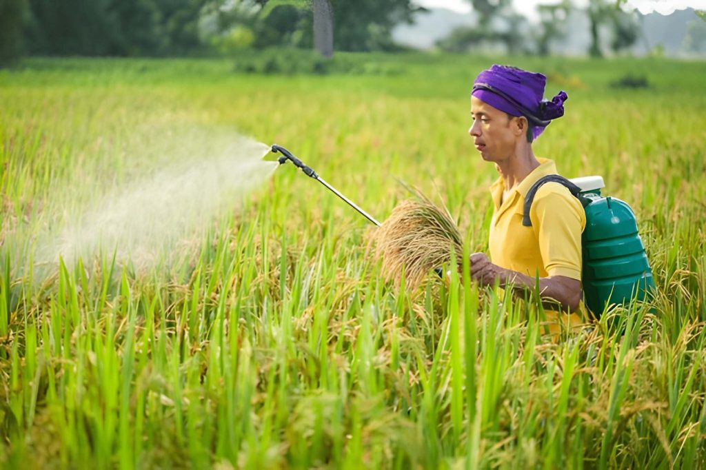 Dosis Herbisida Tidak Sesuai
