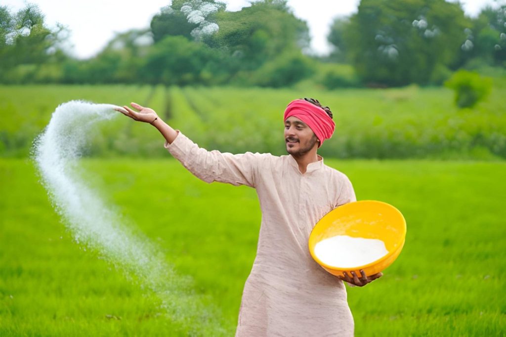 Dosis Pupuk Tidak Sesuai Kebutuhan