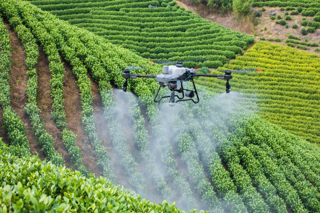 Efisiensi Tidak Selalu Bergantung pada Luas Lahan