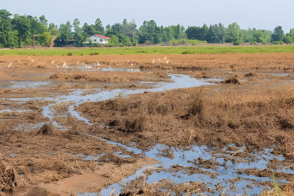 Faktor Air dan Irigasi