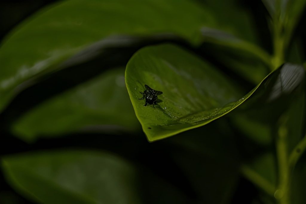 Hama Berukuran Kecil dan Sulit Terlihat