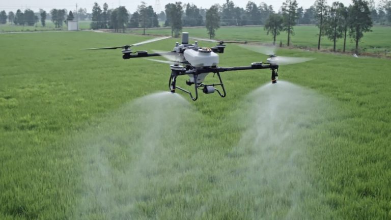 Hasil Semprot Drone Pertanian, Seberapa Efektif