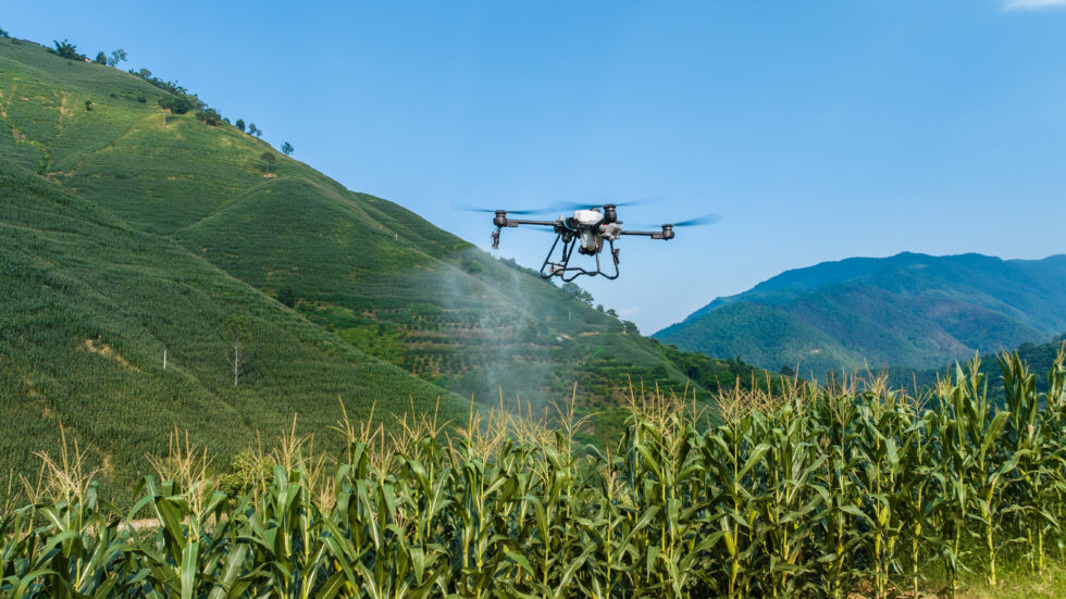 Mana waktu penyemprotan yang Lebih Baik