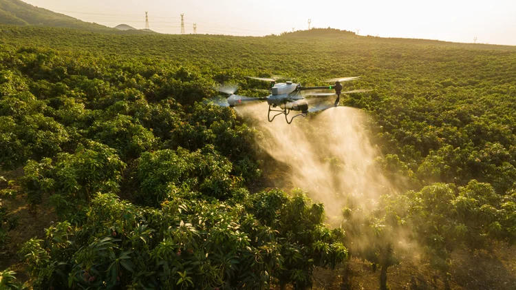 Mana yang Terbaik: Penyemprotan Manual atau Drone?