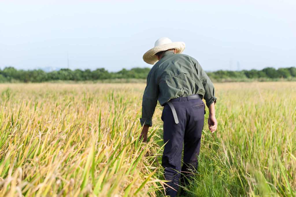 Mengatasi Keterbatasan Tenaga Kerja