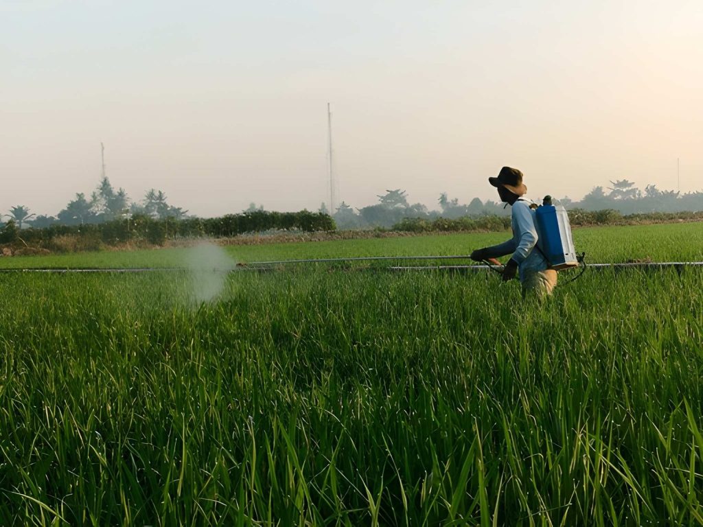 Pengaruh Cuaca dan Lingkungan