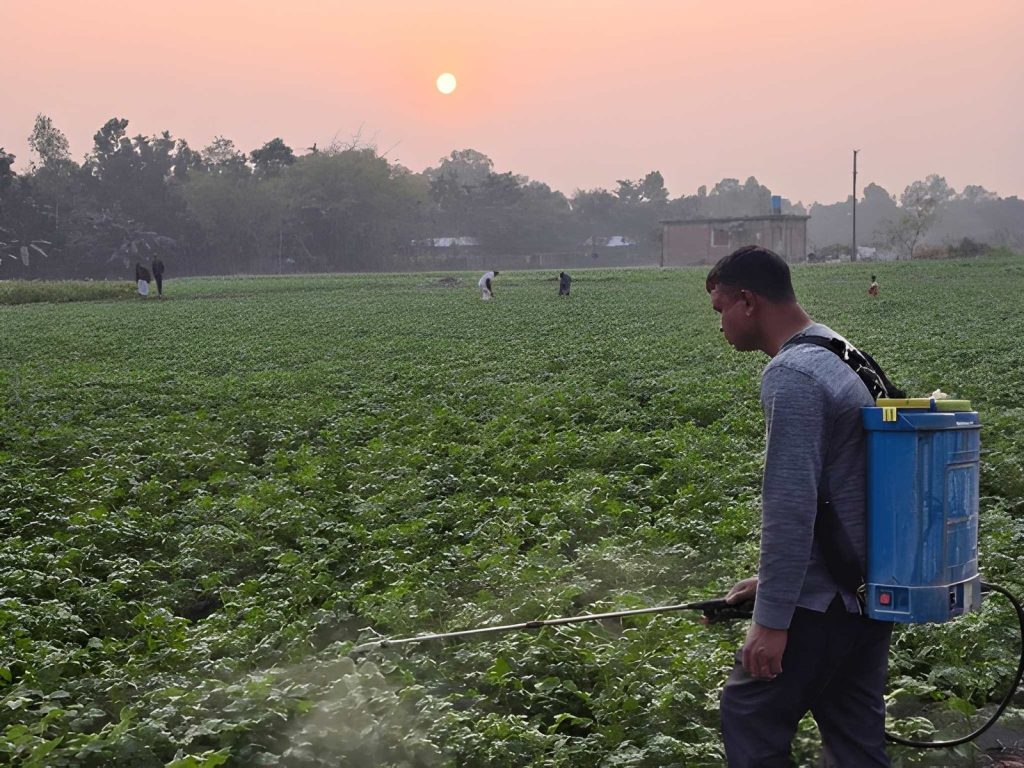 Penyemprotan lahan di Sore Hari
